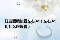 红蓝眼镜能看左右3d（左右3d用什么眼镜看）