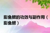 膨鱼鳃的功效与副作用（膨鱼鳃）