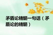 矛盾论精髓一句话（矛盾论的精髓）