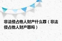 非法侵占他人财产什么罪（非法侵占他人财产罪吗）