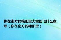 你在南方的艳阳里大雪纷飞什么意思（你在南方的艳阳里）