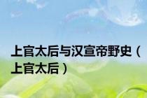 上官太后与汉宣帝野史（上官太后）