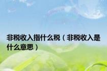 非税收入指什么税（非税收入是什么意思）
