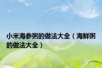 小米海参粥的做法大全（海鲜粥的做法大全）