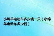小绵羊电动车多少钱一只（小绵羊电动车多少钱）