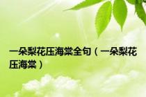 一朵梨花压海棠全句（一朵梨花压海棠）