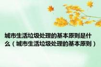城市生活垃圾处理的基本原则是什么（城市生活垃圾处理的基本原则）