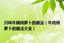 川味牛腩炖萝卜的做法（牛肉炖萝卜的做法大全）