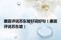 康震评说苏东坡好词好句（康震评说苏东坡）