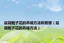 盆栽栀子花的养殖方法和管理（盆栽栀子花的养殖方法）