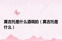 莫吉托是什么酒调的（莫吉托是什么）