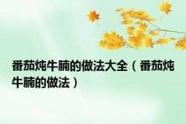 番茄炖牛腩的做法大全（番茄炖牛腩的做法）