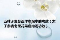 五味子麦冬西洋参泡水的功效（太子参麦冬无花果瘦肉汤功效）