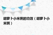 胡萝卜小米粥的功效（胡萝卜小米粥）