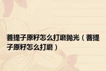 菩提子原籽怎么打磨抛光（菩提子原籽怎么打磨）
