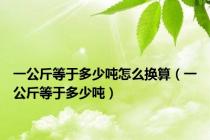 一公斤等于多少吨怎么换算（一公斤等于多少吨）