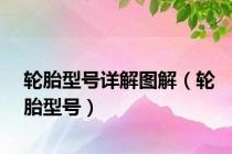 轮胎型号详解图解（轮胎型号）