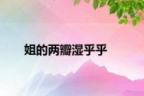姐的两瓣湿乎乎
