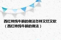 西红柿炖牛腩的做法怎样又烂又软（西红柿炖牛腩的做法）
