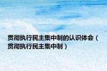 贯彻执行民主集中制的认识体会（贯彻执行民主集中制）