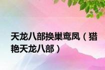 天龙八部换巢鸾凤（猎艳天龙八部）