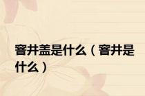 窨井盖是什么（窨井是什么）
