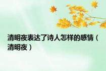 清明夜表达了诗人怎样的感情（清明夜）