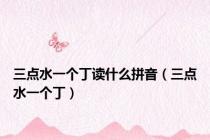 三点水一个丁读什么拼音（三点水一个丁）