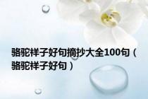 骆驼祥子好句摘抄大全100句（骆驼祥子好句）