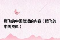 腾飞的中国简短的内容（腾飞的中国资料）