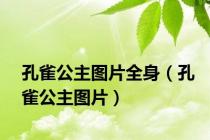 孔雀公主图片全身（孔雀公主图片）