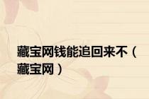 藏宝网钱能追回来不（藏宝网）
