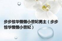 步步惊华懒懒小兽妃男主（步步惊华懒懒小兽妃）