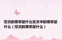 空灵的意思是什么在文中的意思是什么（空灵的意思是什么）