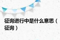 征询进行中是什么意思（征询）