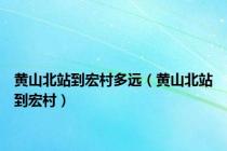 黄山北站到宏村多远（黄山北站到宏村）