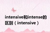 intensive和intense的区别（intensive）