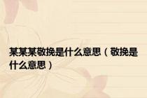 某某某敬挽是什么意思（敬挽是什么意思）