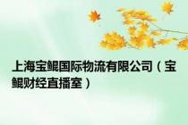 上海宝鲲国际物流有限公司（宝鲲财经直播室）