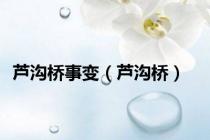 芦沟桥事变（芦沟桥）