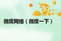 微度网络（微度一下）