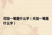 司加一笔是什么字（夫加一笔是什么字）