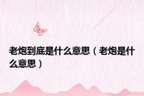老炮到底是什么意思（老炮是什么意思）