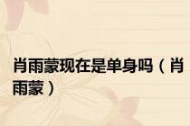 肖雨蒙现在是单身吗（肖雨蒙）