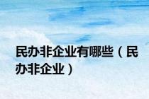 民办非企业有哪些（民办非企业）