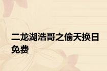 二龙湖浩哥之偷天换日免费
