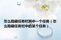 怎么隐藏任务栏其中一个任务（怎么隐藏任务栏中的某个任务）
