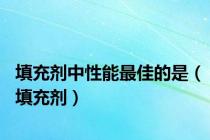 填充剂中性能最佳的是（填充剂）