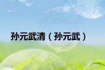 孙元武清（孙元武）