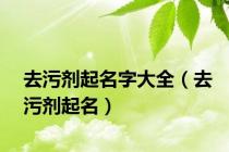 去污剂起名字大全（去污剂起名）